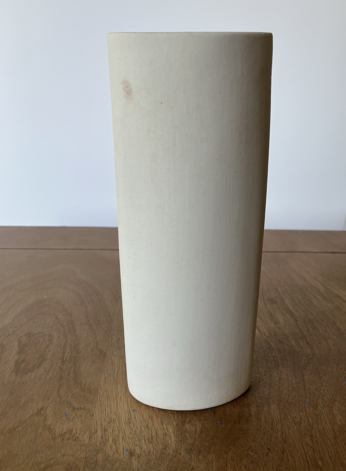 Santa Barbara Ceramic Design Vase Unusual Daffodil Embossed Flat White SBCD