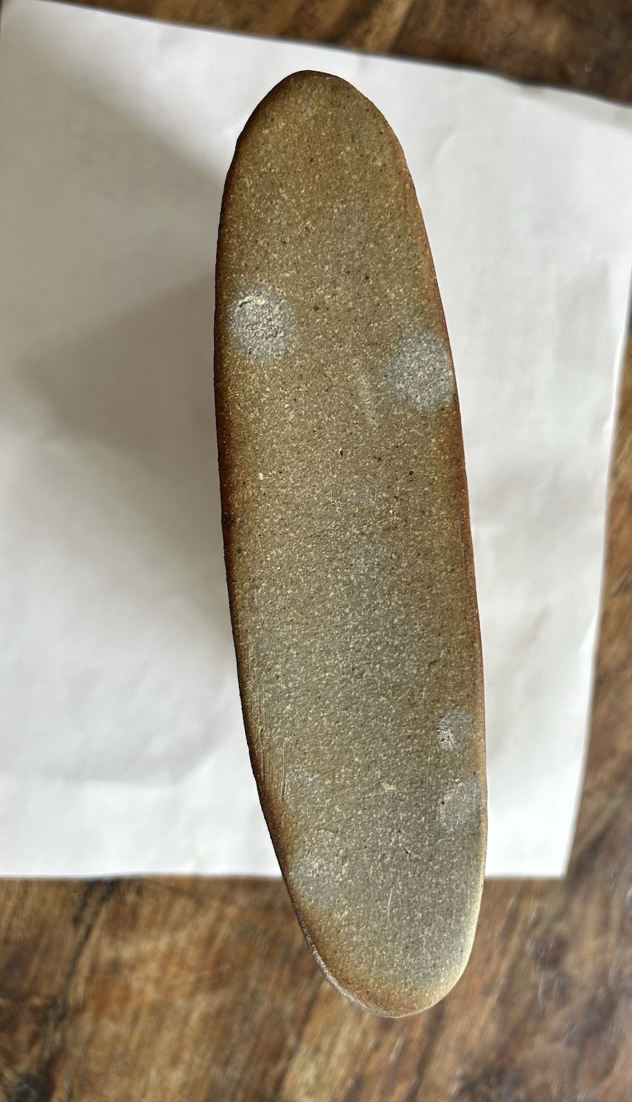 Sam Taylor Pottery Ceramic Narrow Oval Vase / Vessel Fish On Both Sides