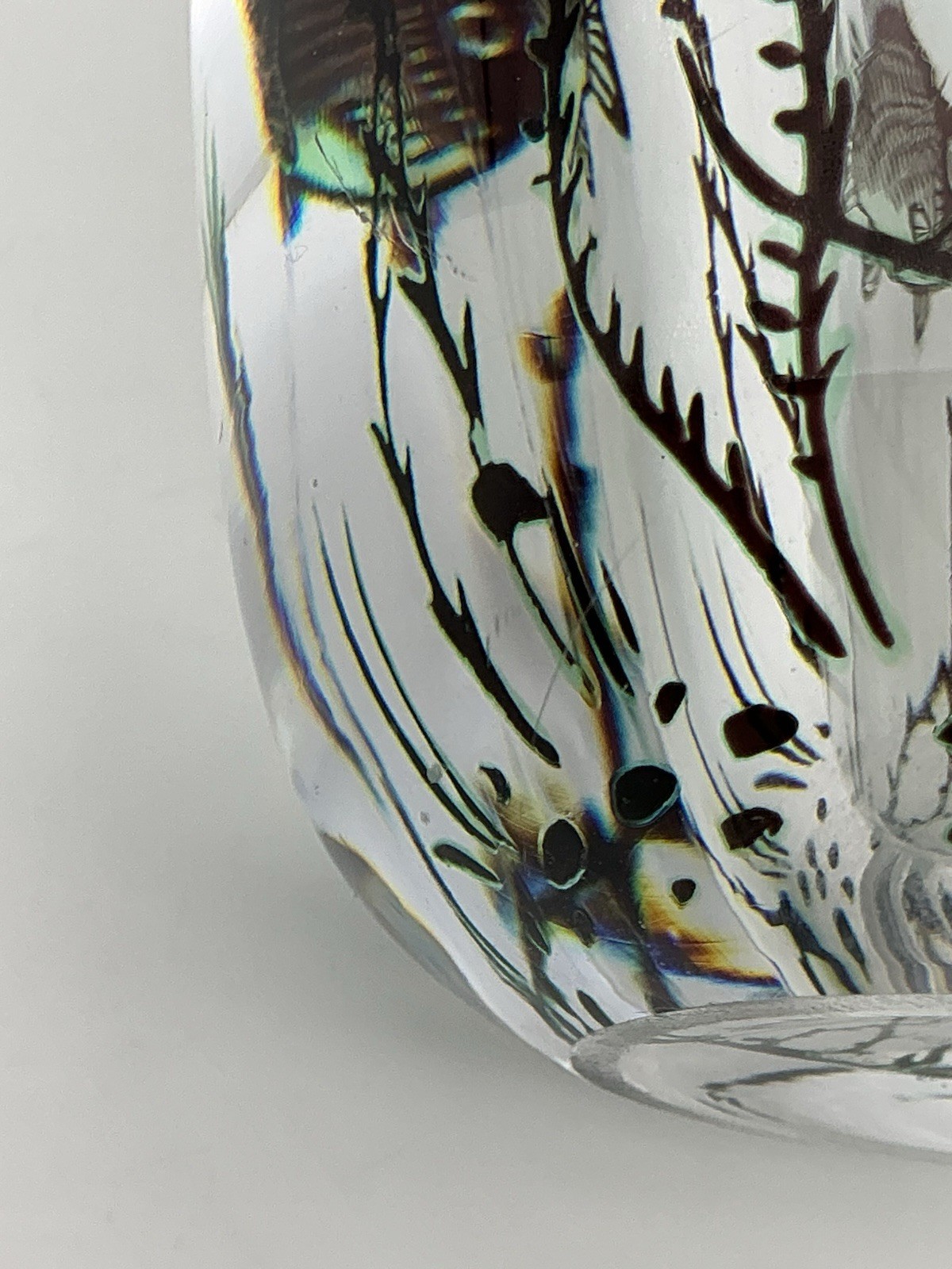 Orrefors Fish Underwater Aquarium Graal Vase Edward Hald Sweden 5.25 Inches