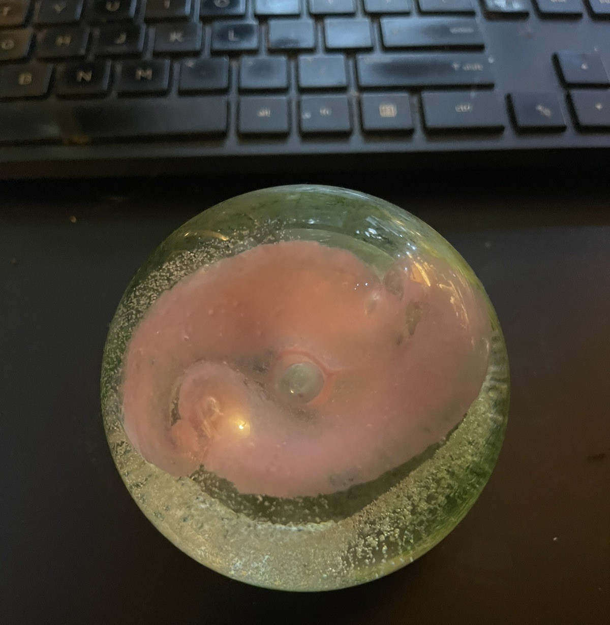 Caithness Scotland Waterlily Impressions Art Glass Paperweight – Spectacular!