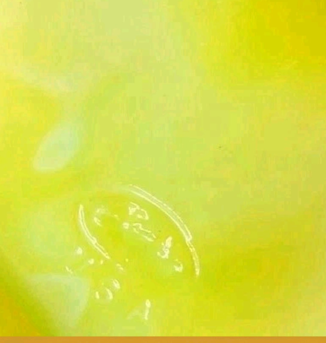 Ghost and Turtle Mosser for Fenton Mold Art Glass Dandelion Yellow Glows UV