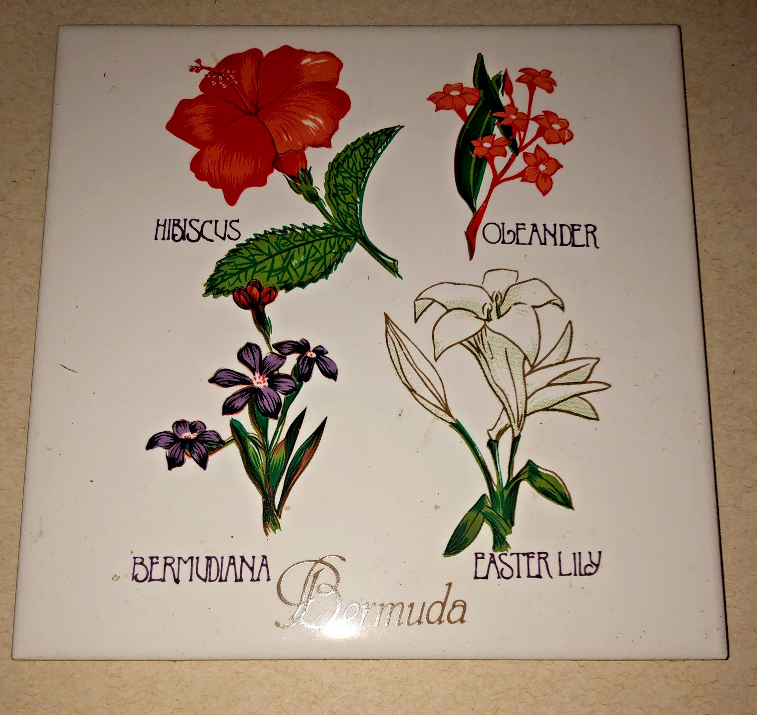 Vintage Bermuda Flower Souvenir Wall Tile Trivet 1960s Bermudiana Easter Lily 6”