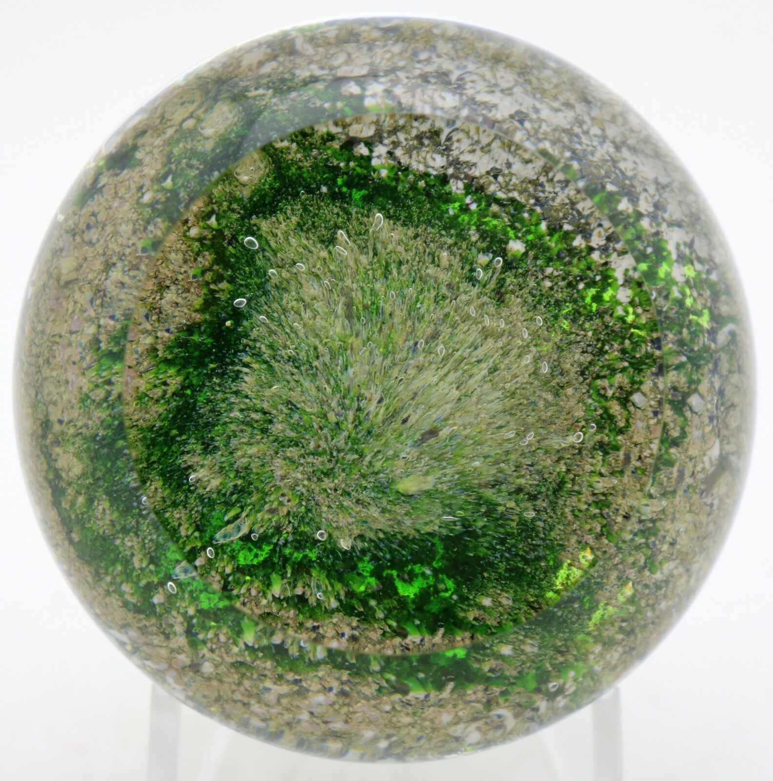 Masterful DELMO TARSITANO Vivid SALAMANDER Earth Life Art Glass PAPERWEIGHT