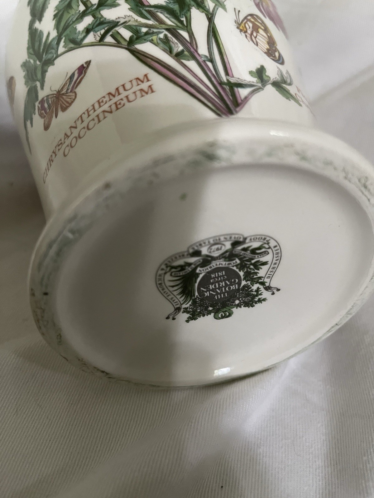 Older Portmeirion Botanic Garden Vase Chrysanthemum Canton 8” England