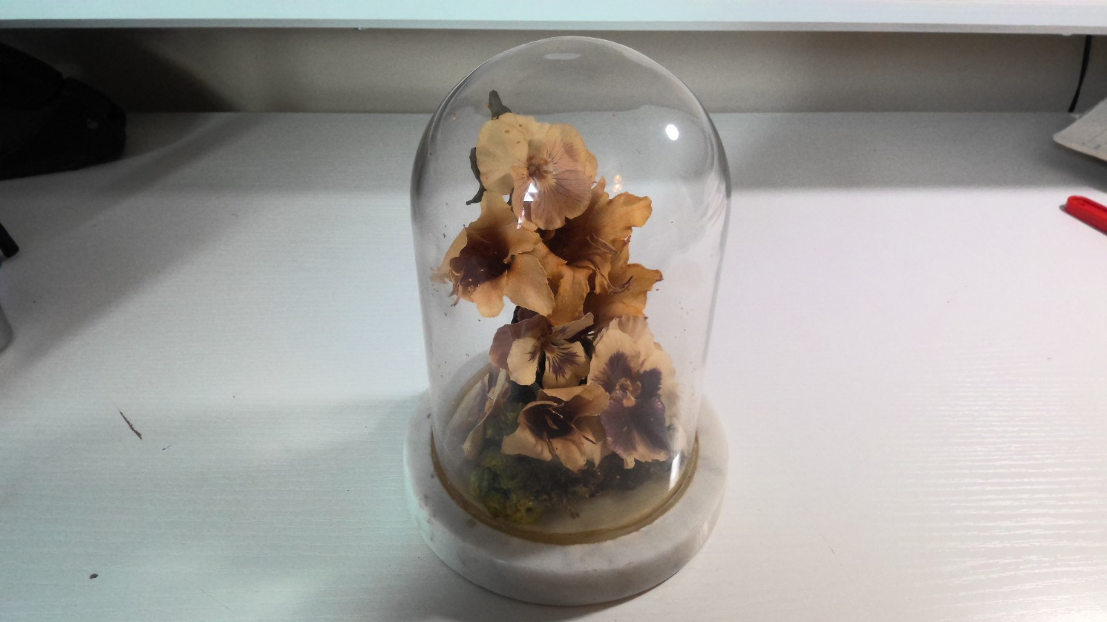 Vintage 1965 Glass Enclosed Flowers Handmade Art in Italy Italian Marble Base