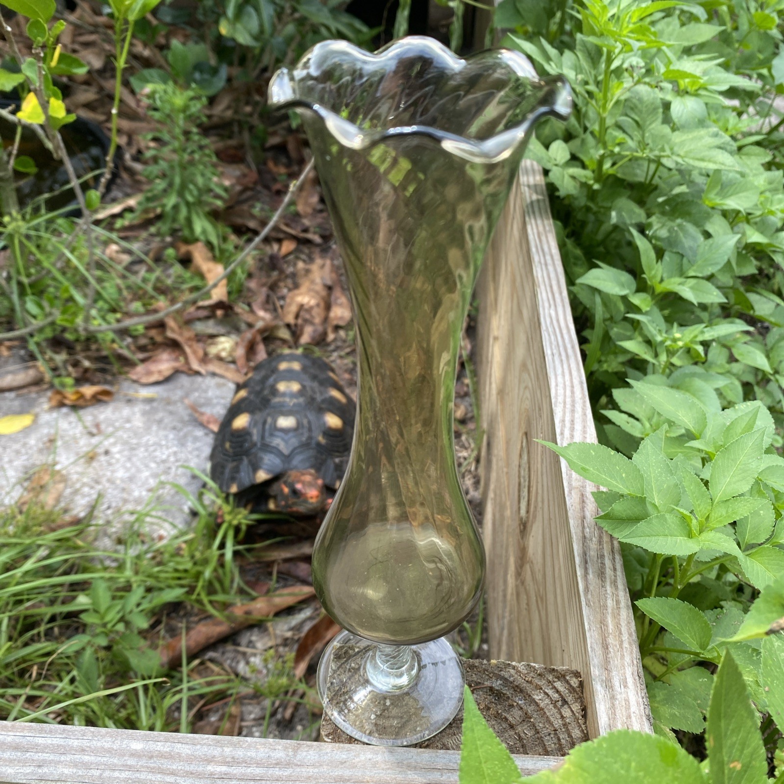 Vintage 8” Smoky Olive Fluted Glass Bud Vase Scalloped Rim Twisted Spun Stem MCM
