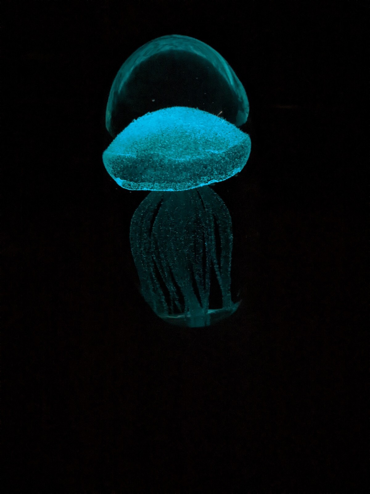 Hand Blown Art Glass Blue Jelly Fish Paperweight 5”H 2lb Glow In Dark