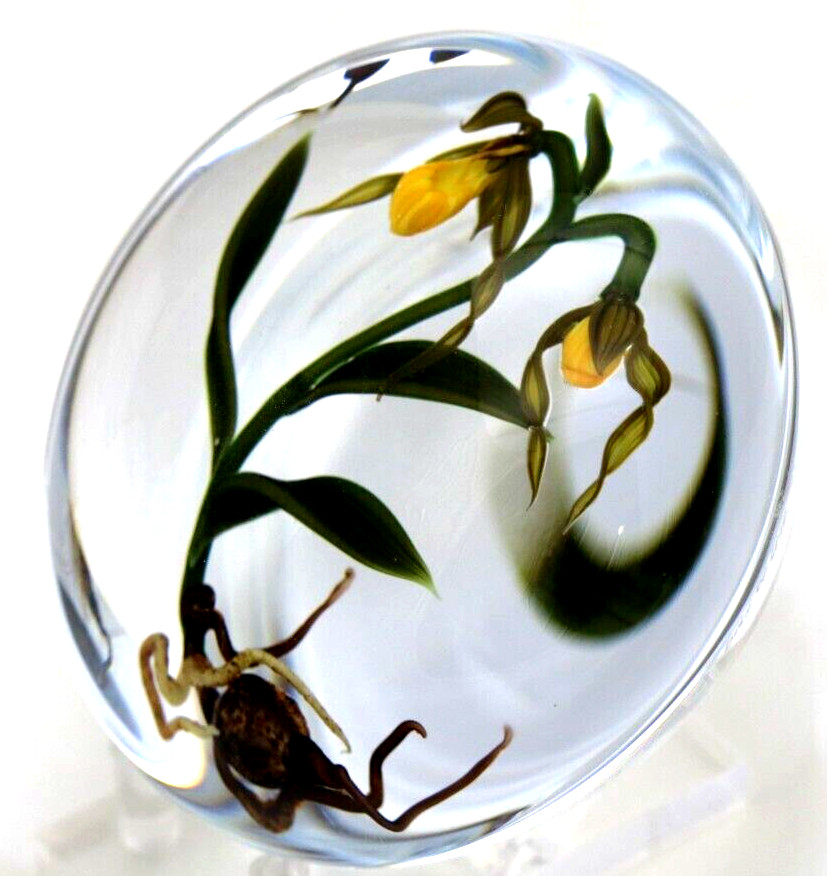 DAZZLING Large CHRIS BUZZINI Lady Slipper ORCHIDS Art Glass PAPERWEIGHT 1 of 1
