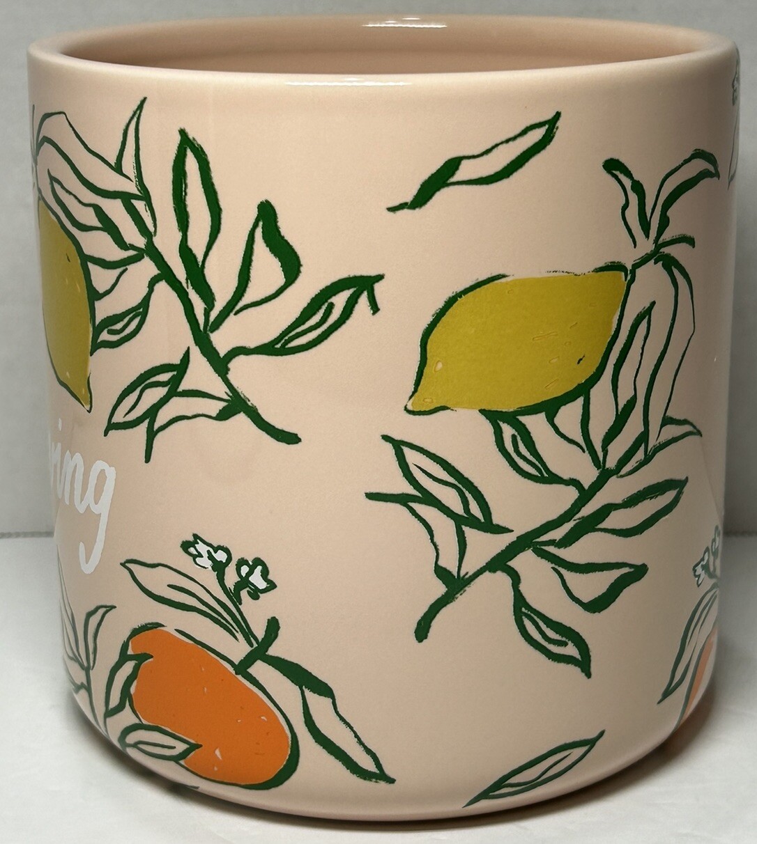 Planter “Keep Growing” Ceramic Porcelain Pink 6” x 5.5” Sonoma Southern Charm