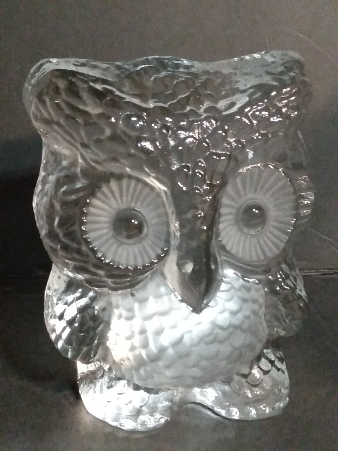 Vintage Owl Bird Clear Frosted Viking Glass Paperweight! 5.5″ Tall Heavy 2.8lbs!
