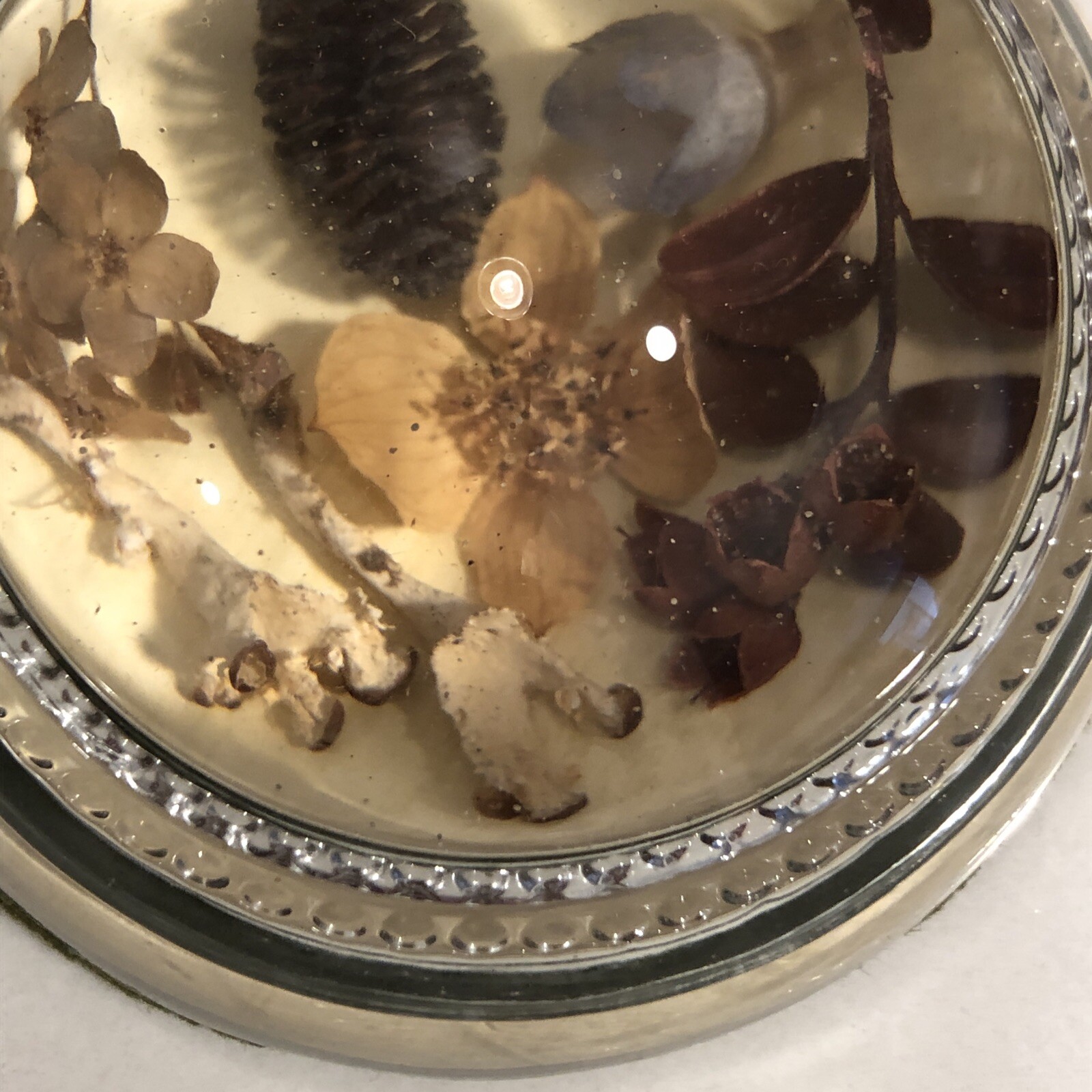 Paperweight Alaska Wild Flowers Round Dome Collectible Vintage Glass