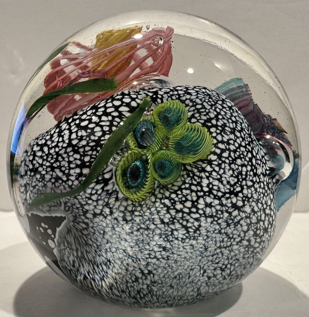 Artisan 1991 M E Mark Eckstrand 3.5″ Art Glass Sea Life Paperweight 1 lb 14 oz