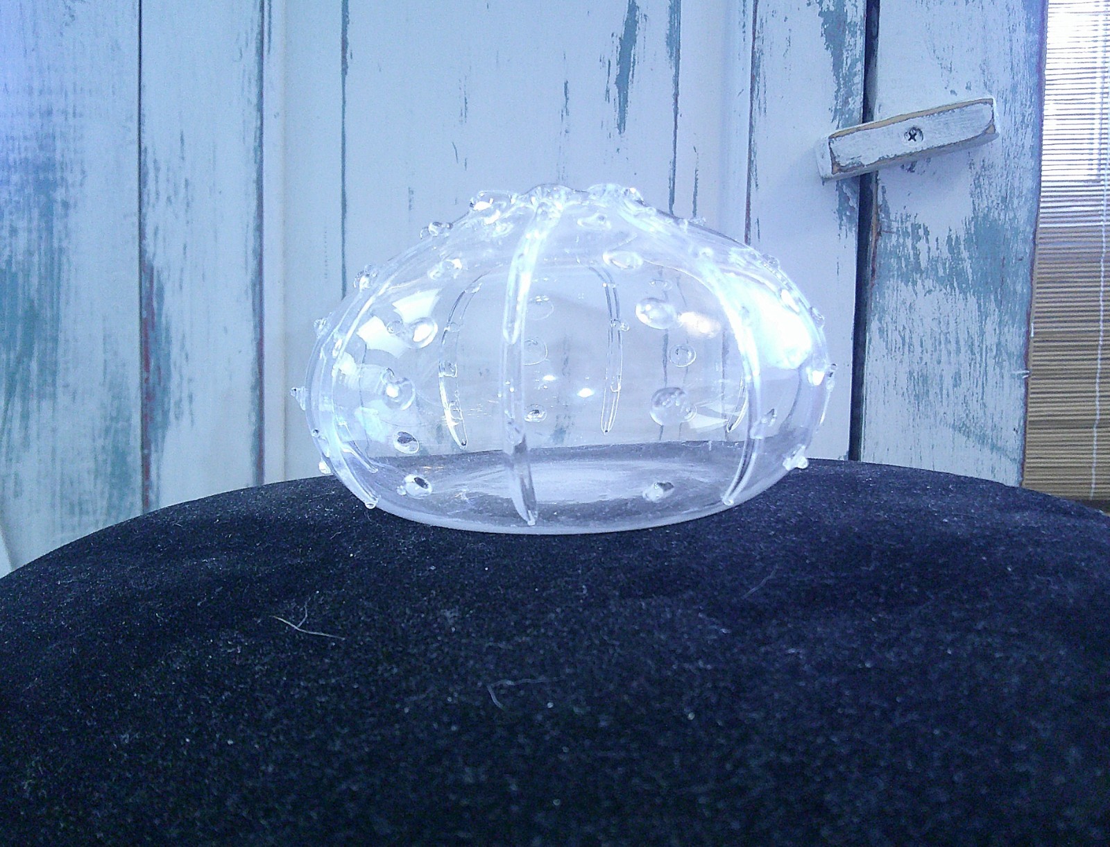 Hand-Blown Unique Star Fish & Sea Urchin Art Glass Bud Vases