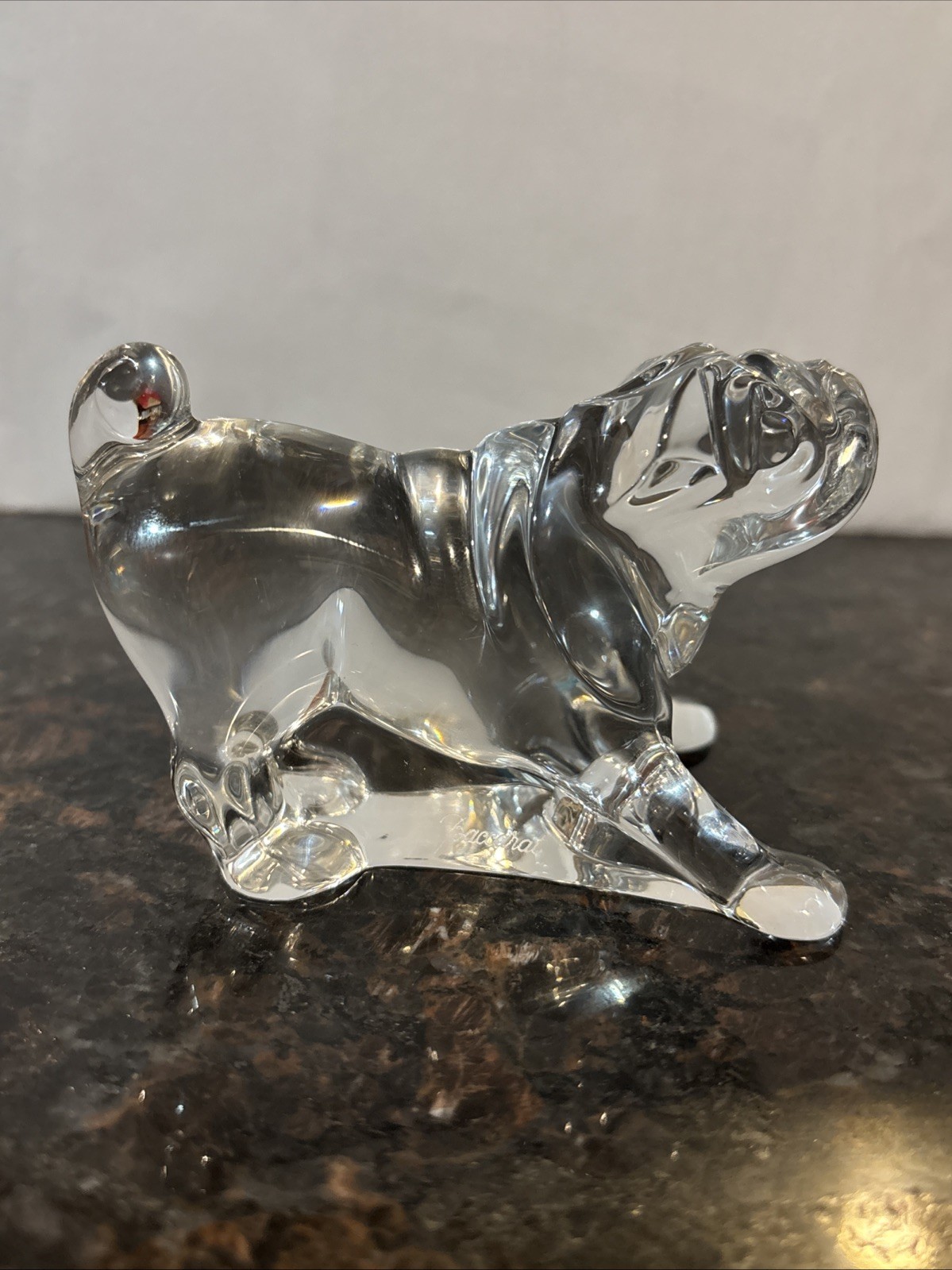 Baccarat Crystal Bulldog Figurine About 4 Inches Long Signed No Original Box