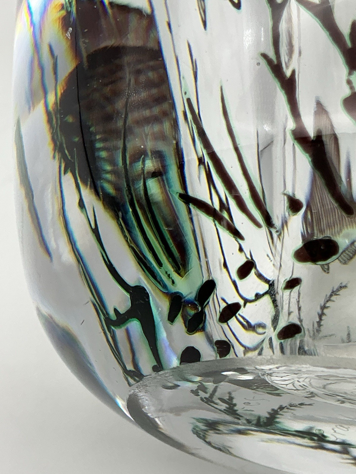 Orrefors Fish Underwater Aquarium Graal Vase Edward Hald Sweden 5.25 Inches