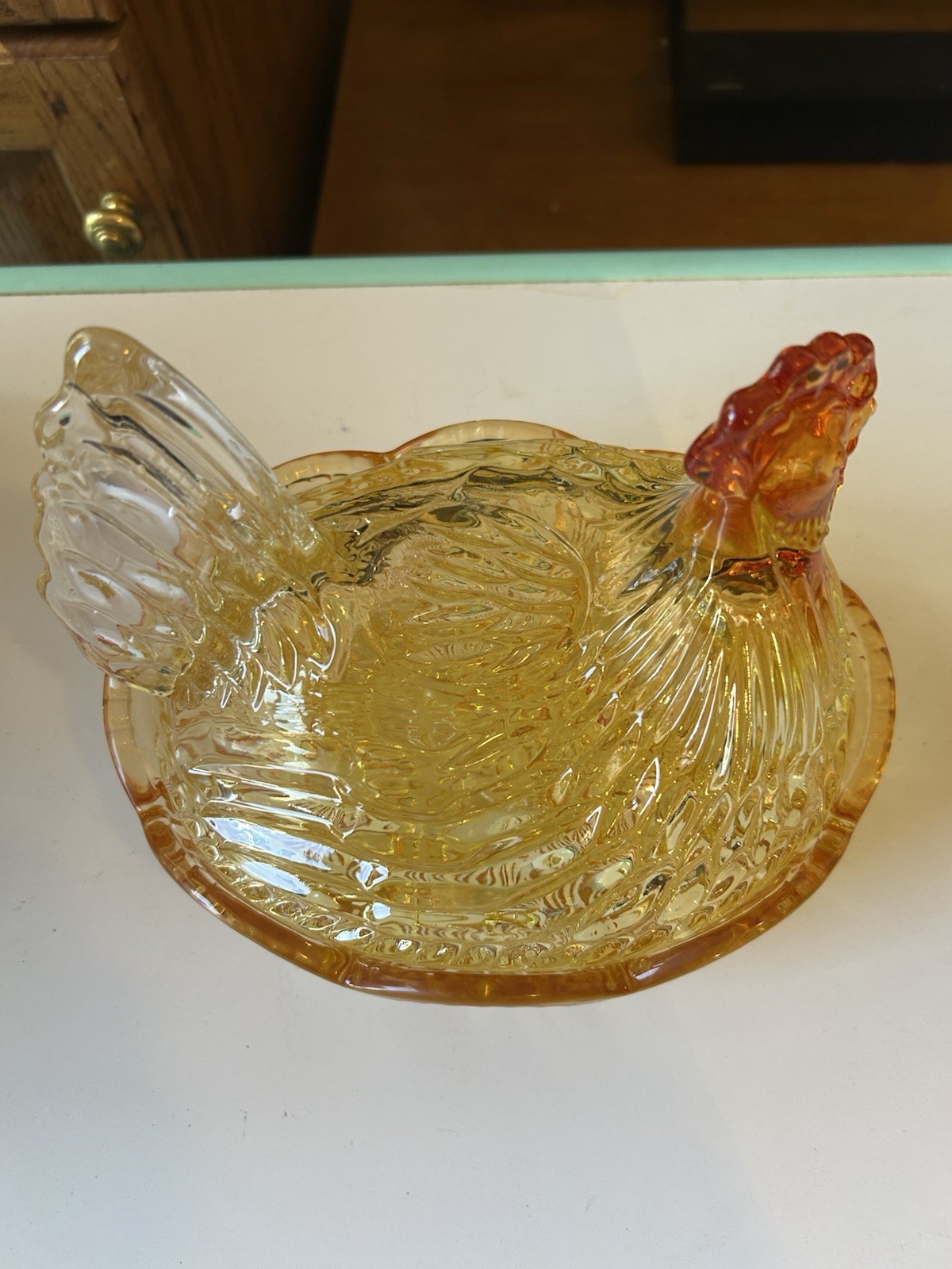 Large Amber Colored Hen On A Next