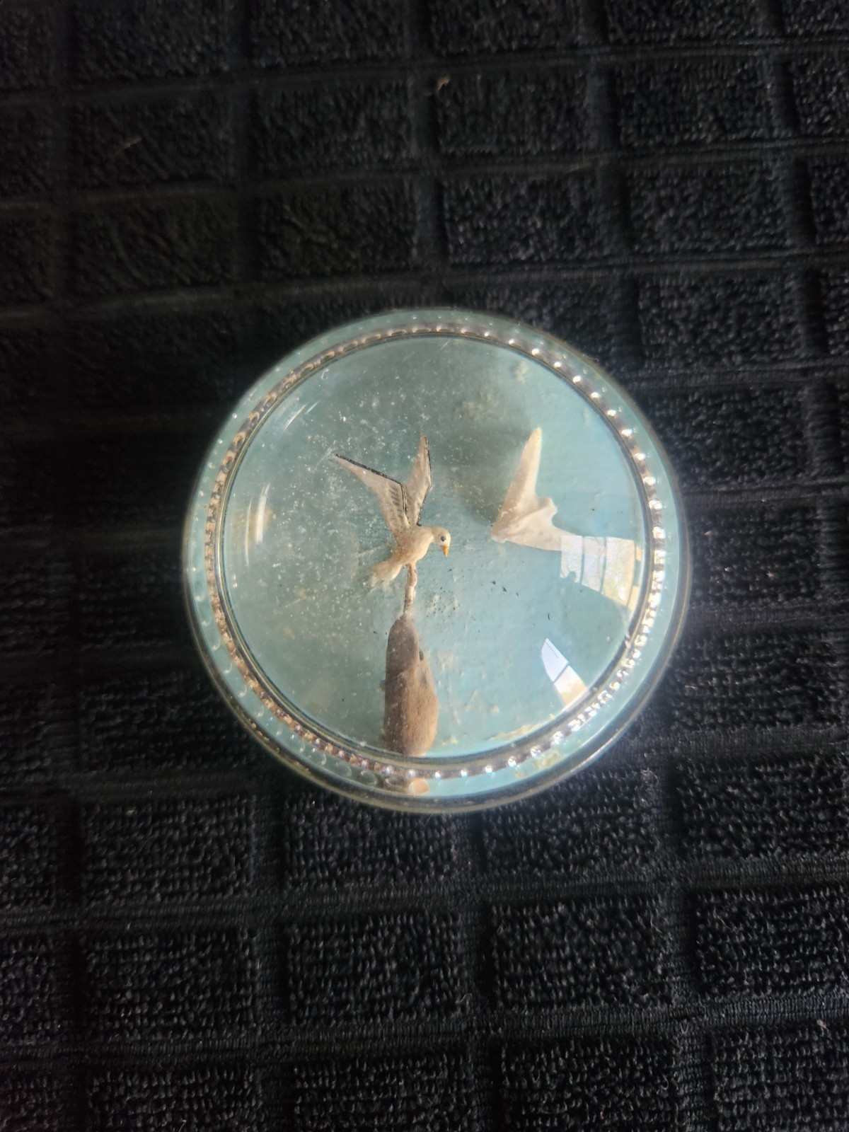 Vintage Clear Glass Paperweight Featuring 2 Seagulls