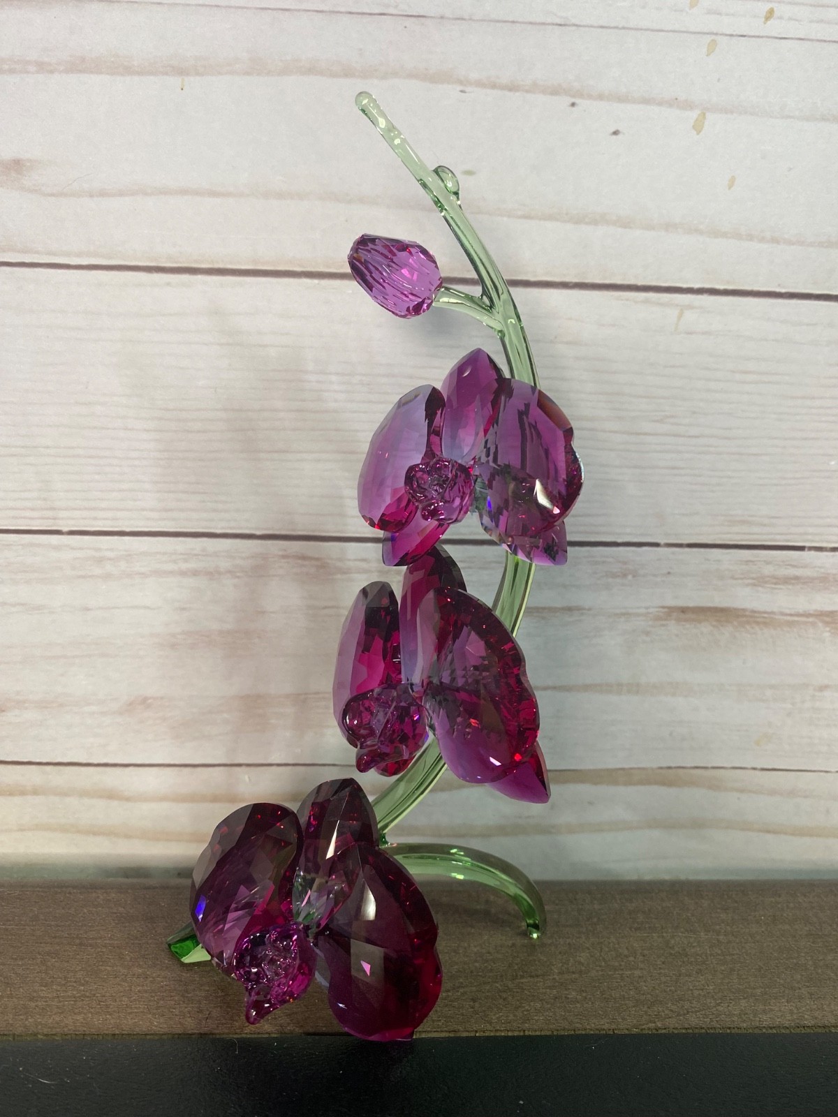 Swarovski Crystal Figurine Paradise Flowers Orchids 5243561