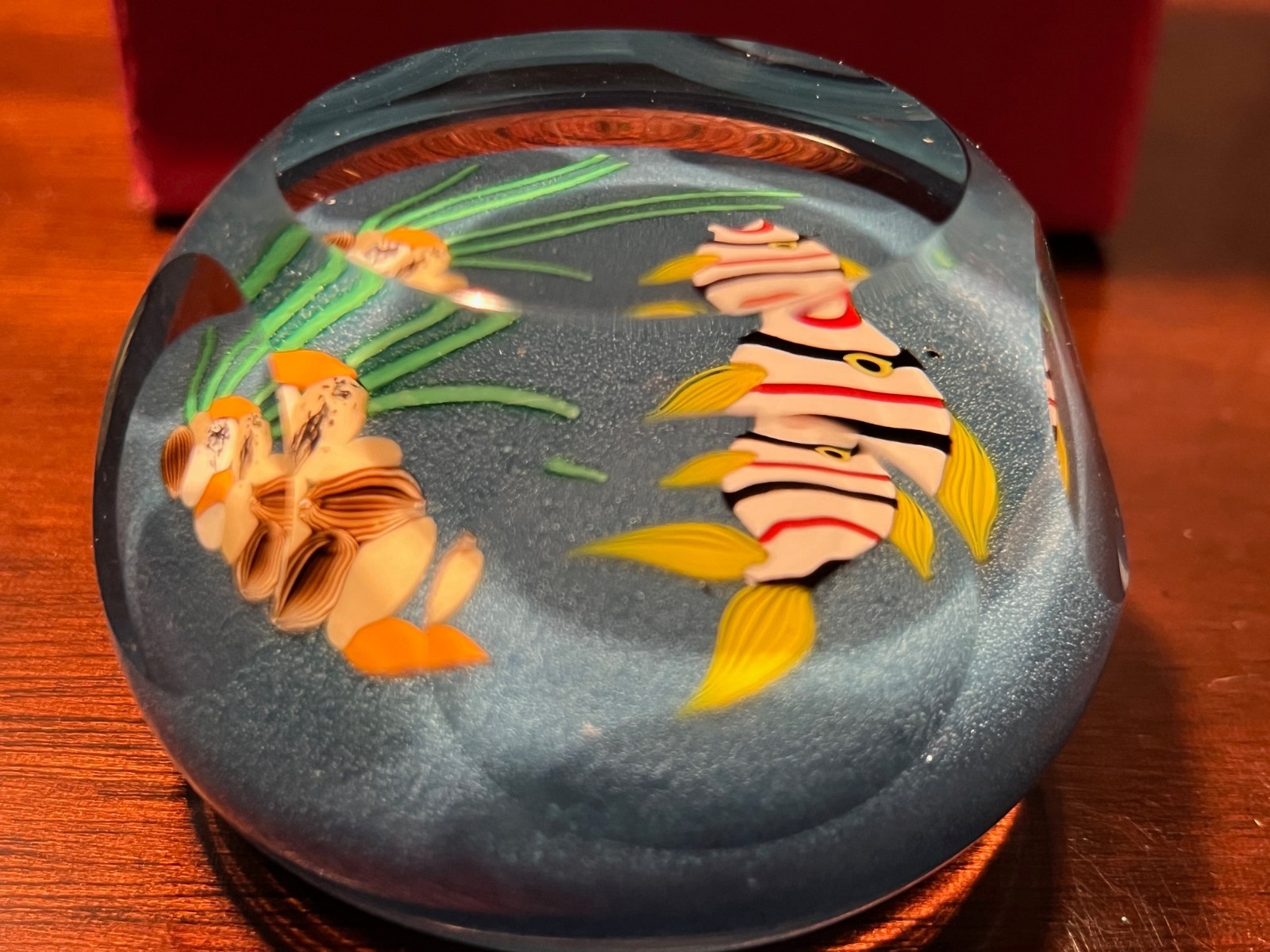 1999 Perthshire Glass Paperweight Scotland 1999B Aquarium fish/reeds in box