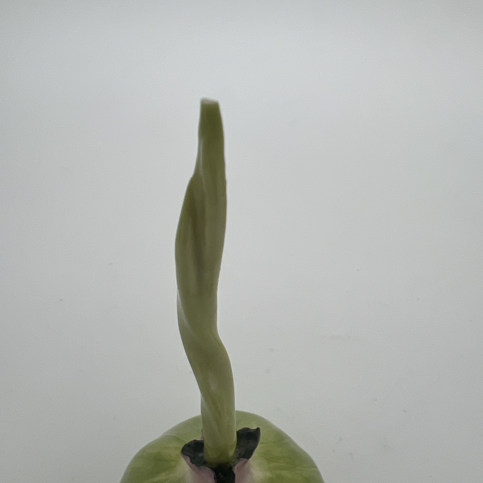 VTG Katherine Houston KHO Porcelain 1993 & 1995 Hand-Painted Onions w Stems (2)