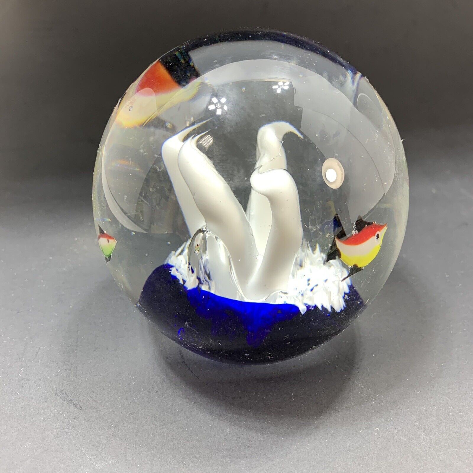 Blown Art Glass Paperweight Fish Tank Bowl Zebra Fish Sphere 3 inch