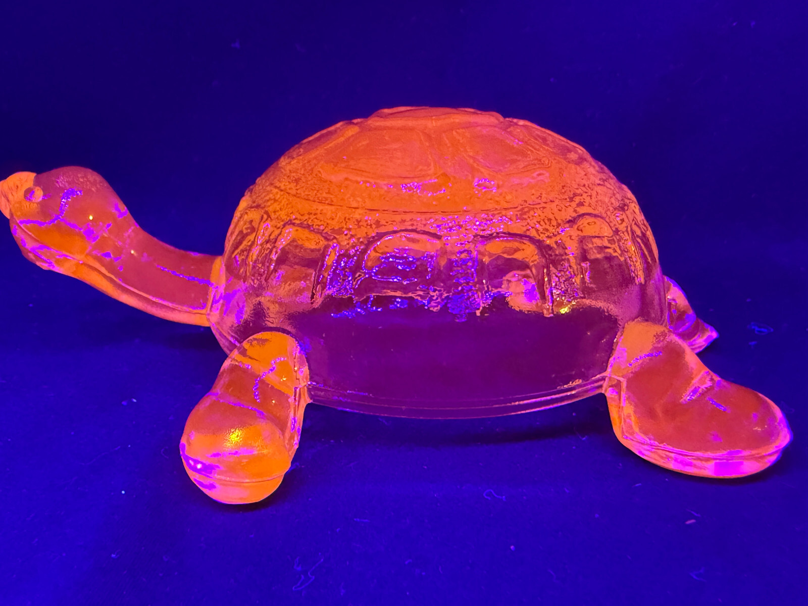 Green Vaseline Uranium glass Sea turtle tortoise paperweight shell animal paint
