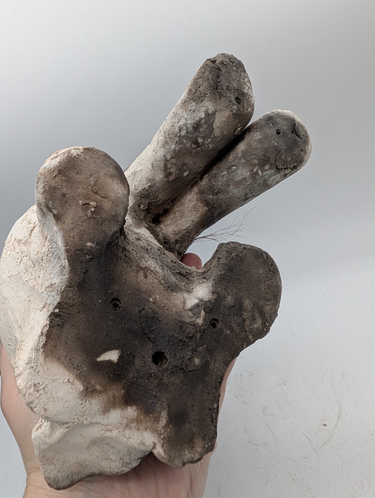Jeanne Stevens Sollman Raku Art Pottery Native American Rabbit *As Is Sculpture