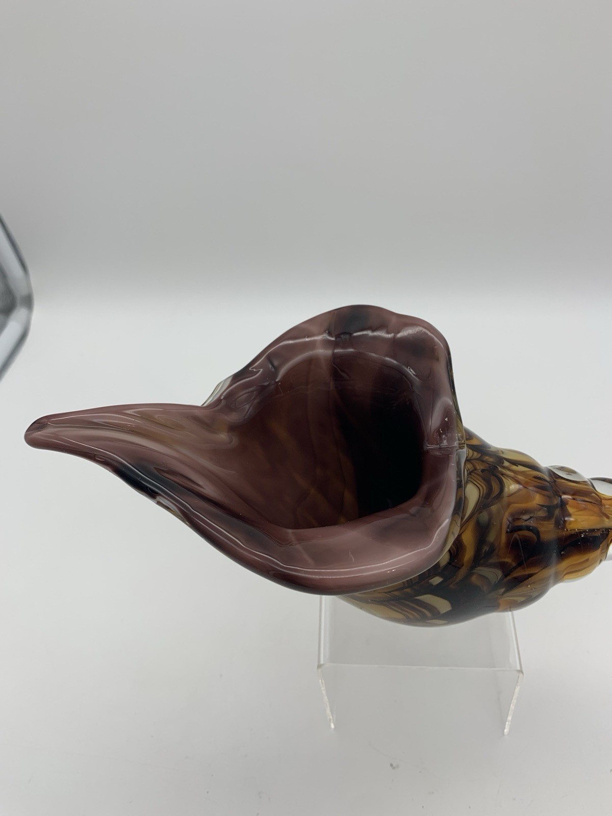 Blown Glass Conch Shell, Tiger Striped Sea Shell Blown Glass Sculpture