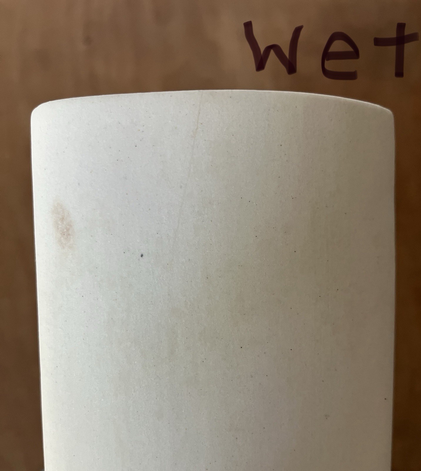 Santa Barbara Ceramic Design Vase Unusual Daffodil Embossed Flat White SBCD