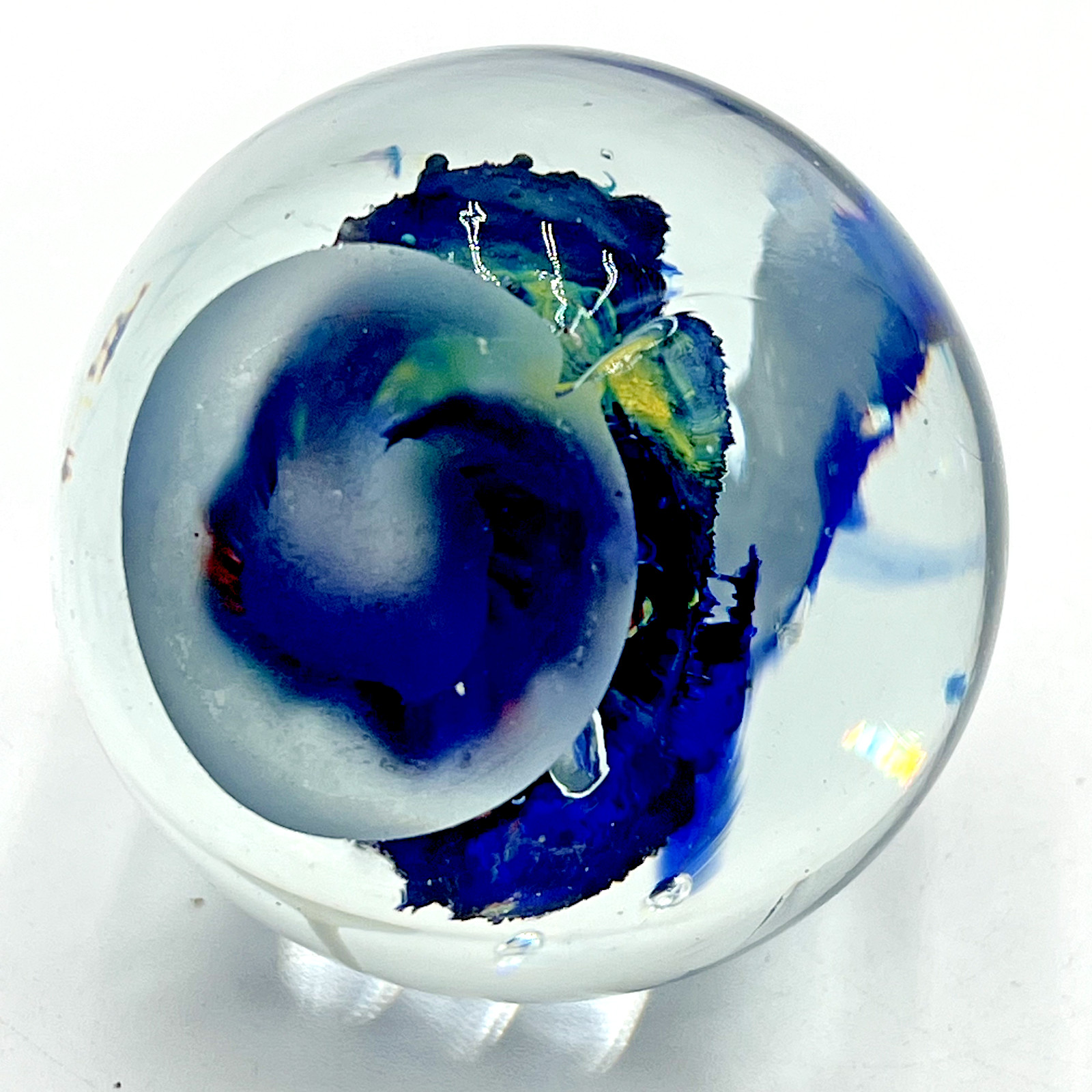 Glass Paperweight Under Water Sea Life with Dolphins