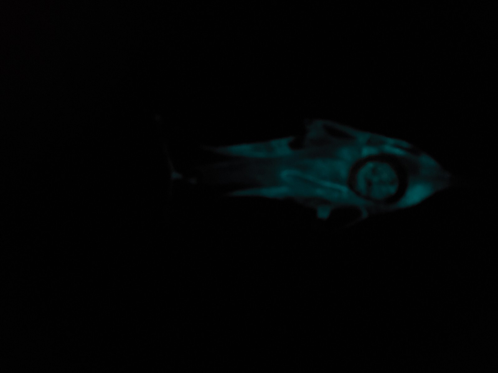 Glass Dolphin Art Glass Paperweight Figurine CLear with Light Gray