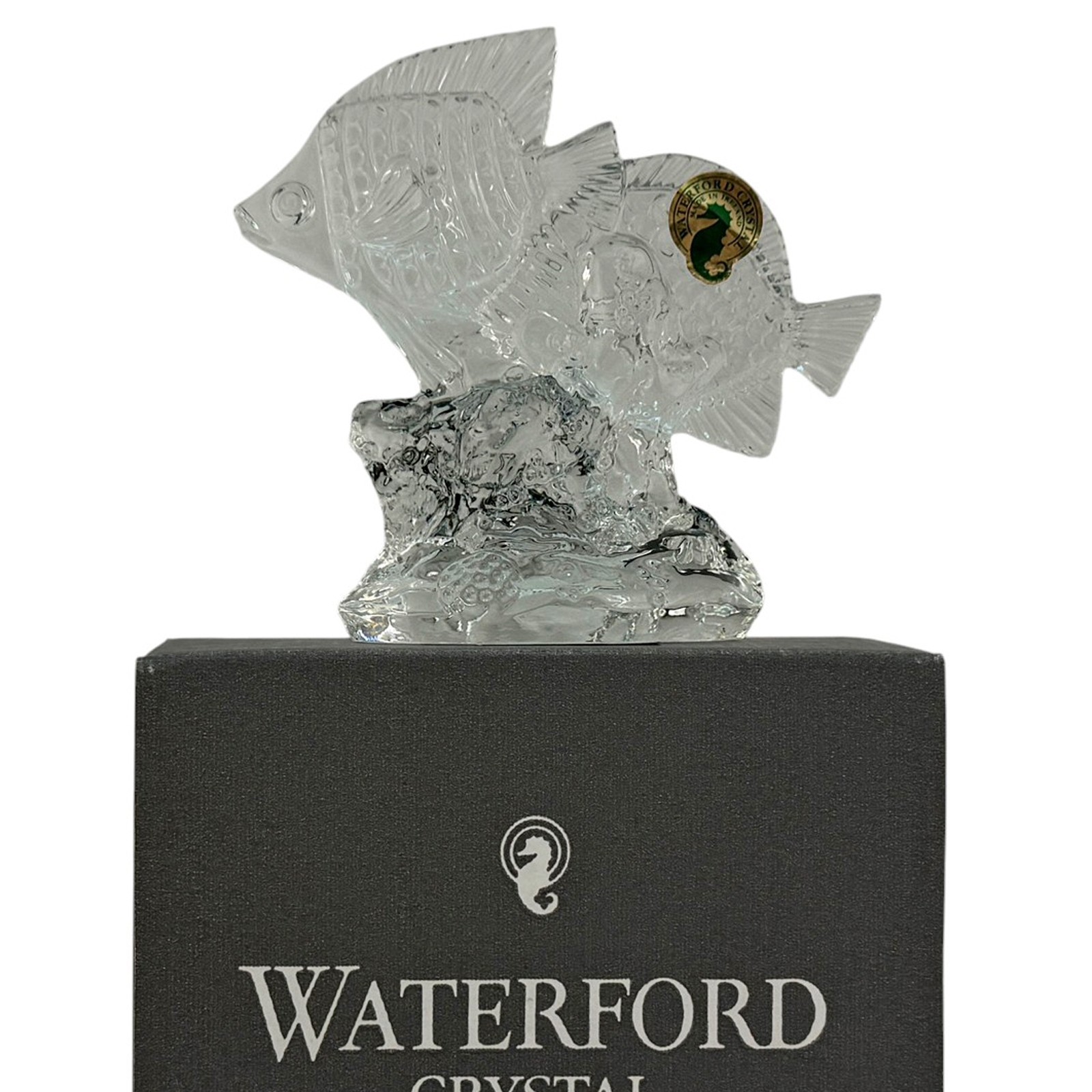Waterford Crystal ANGELFISH Paperweight Figurine 7″ Beautiful Ireland Fish