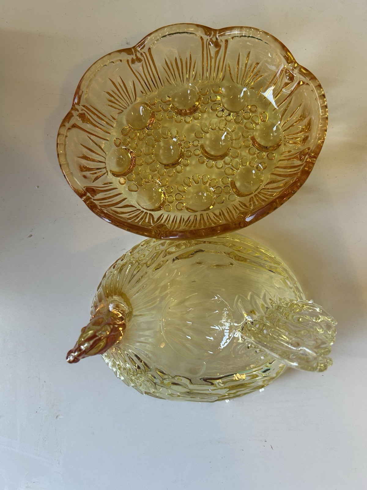 Large Amber Colored Hen On A Next