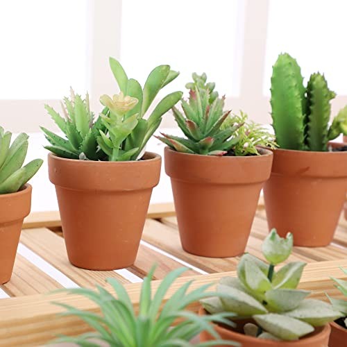 2.5 inch Pots with Drainage Holes,Small Mini Clay Ceramic Pottery Terracotta
