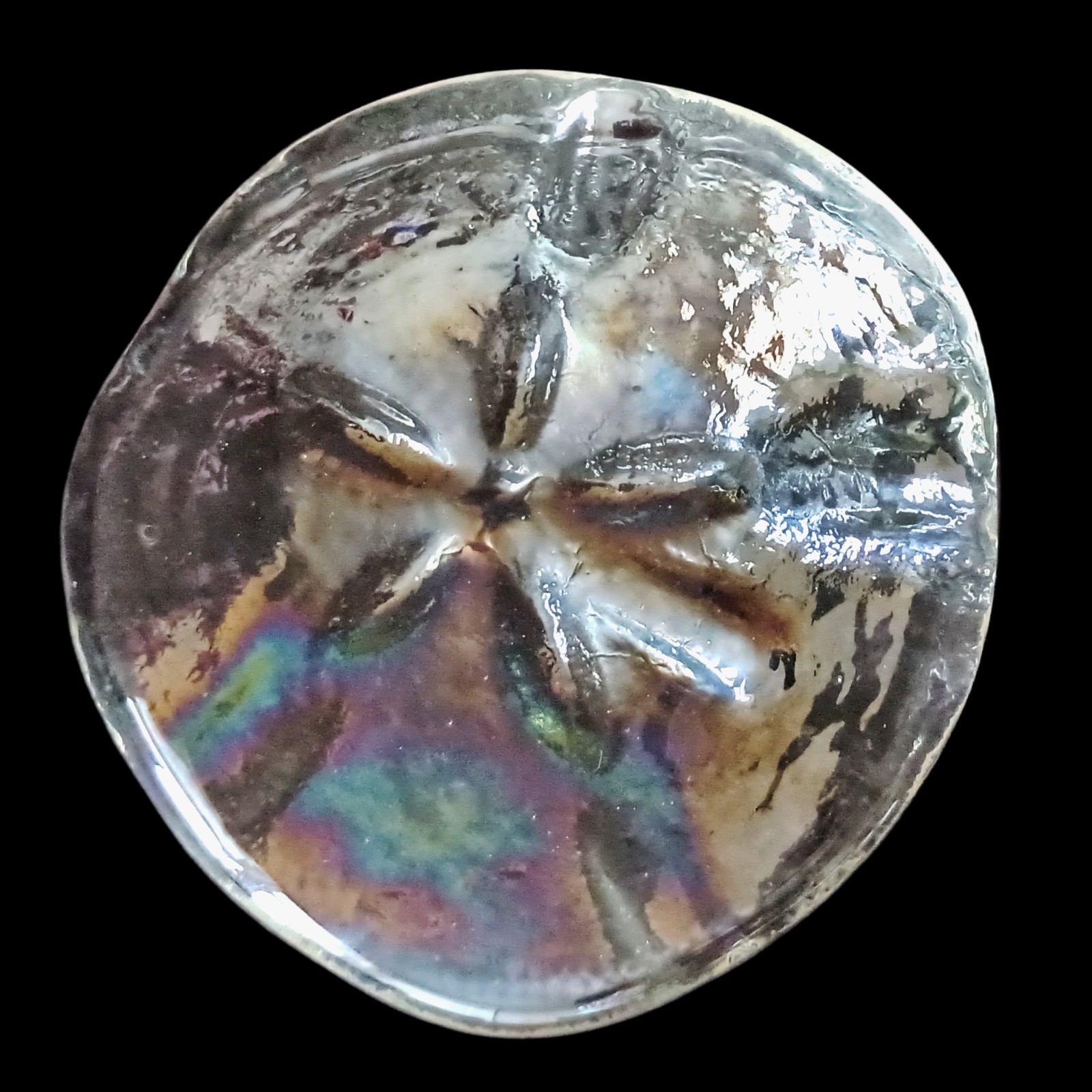 Iridescent Art Glass Sand Dollar Paperweight Vintage Coastal Beach House Ocean
