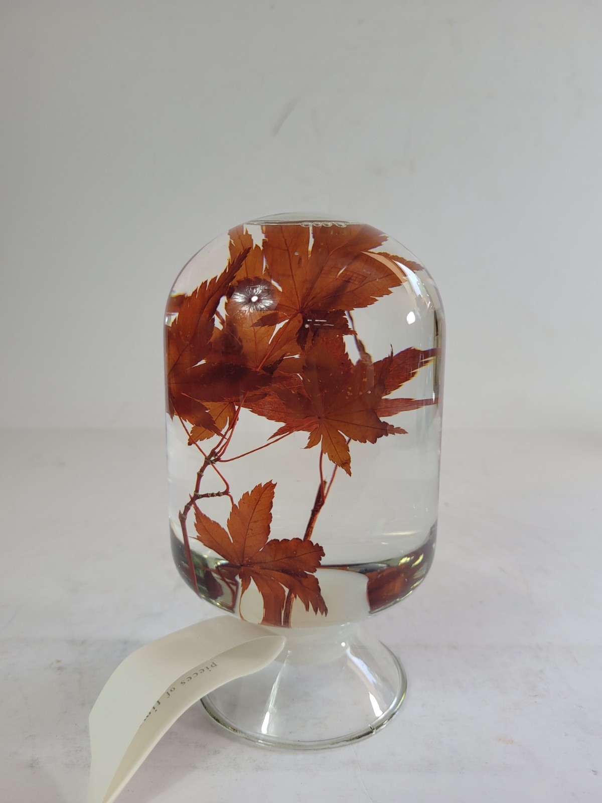 Style Jieum Pieces of Time Preserved Maple Leaf Glass Dome Paperweight