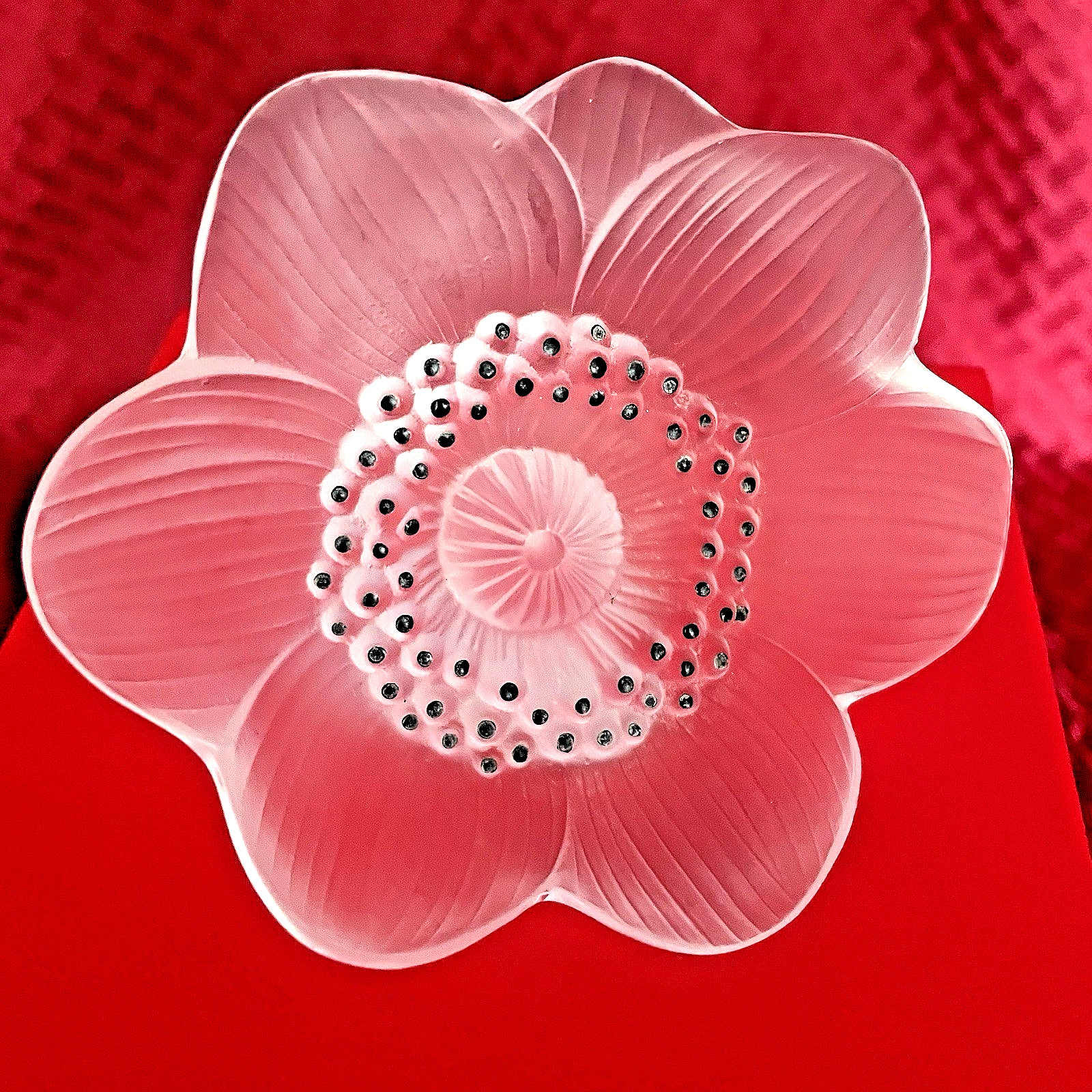 ANTIQUE LALIQUE FROSTED ANEMONE WIITH CLEAR STEM – NIB