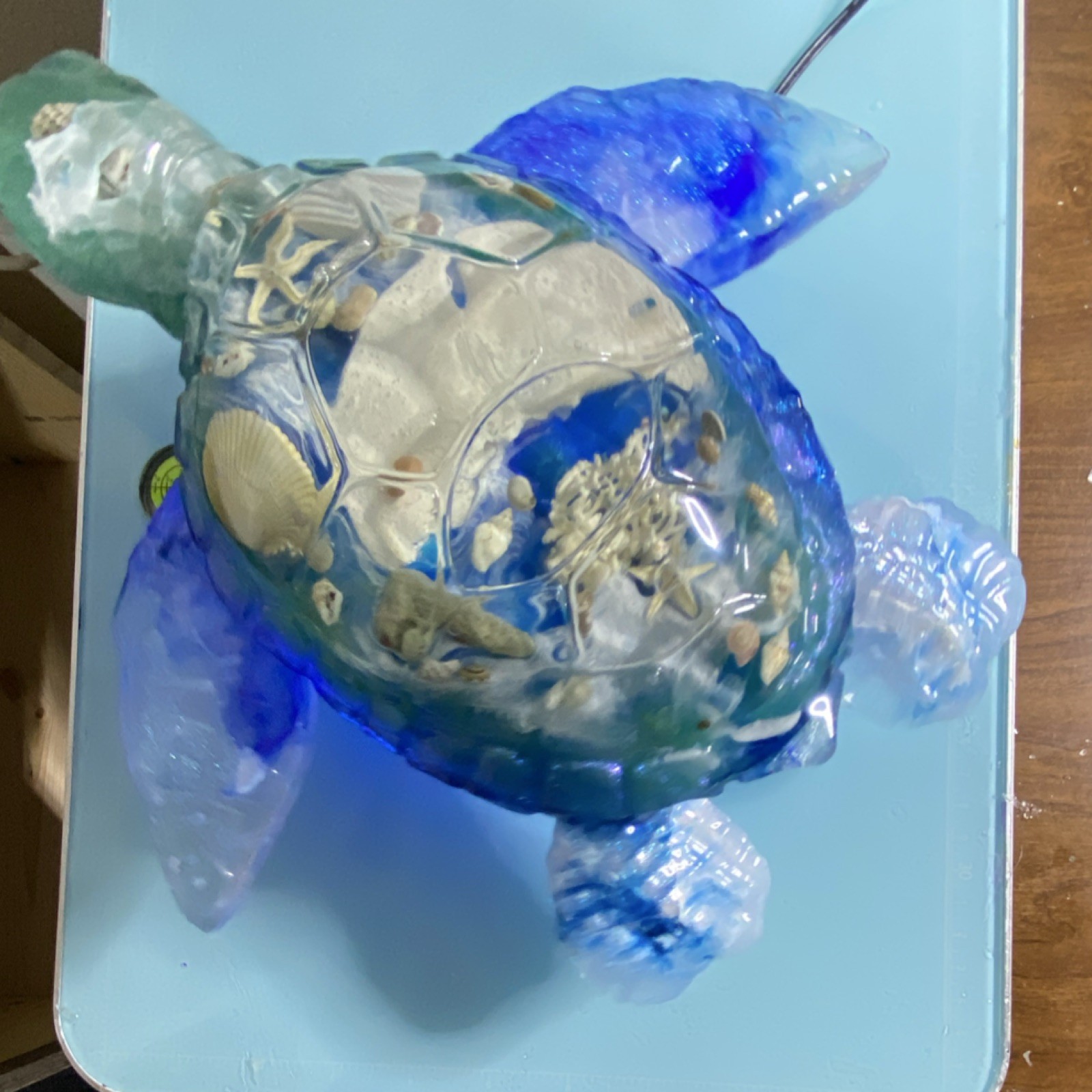 Resin Turtle Figurine with Embedded Shells, Blue Green Clear, Sea Life Glossy