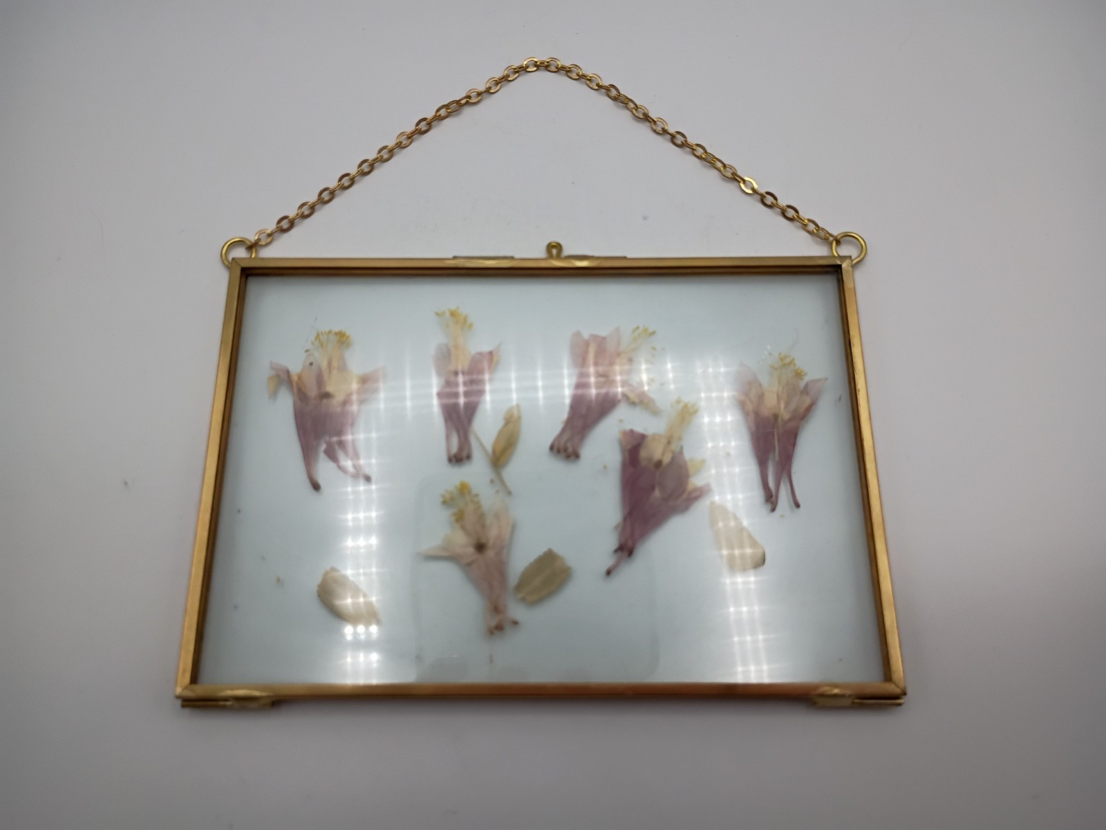 Vtg Hinged Hanging Brass Frame Pressed Flowers