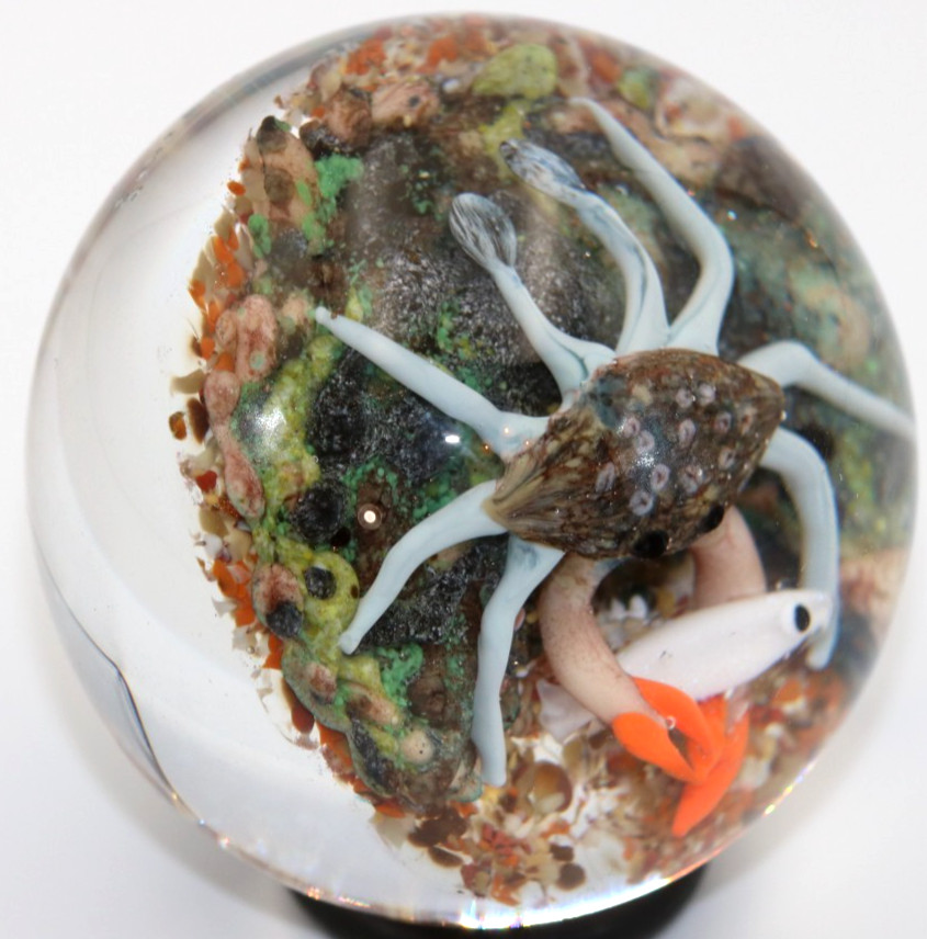 Incredible CATHY RICHARDSON Crab FISH Aquarium AP Art Glass PAPERWEIGHT