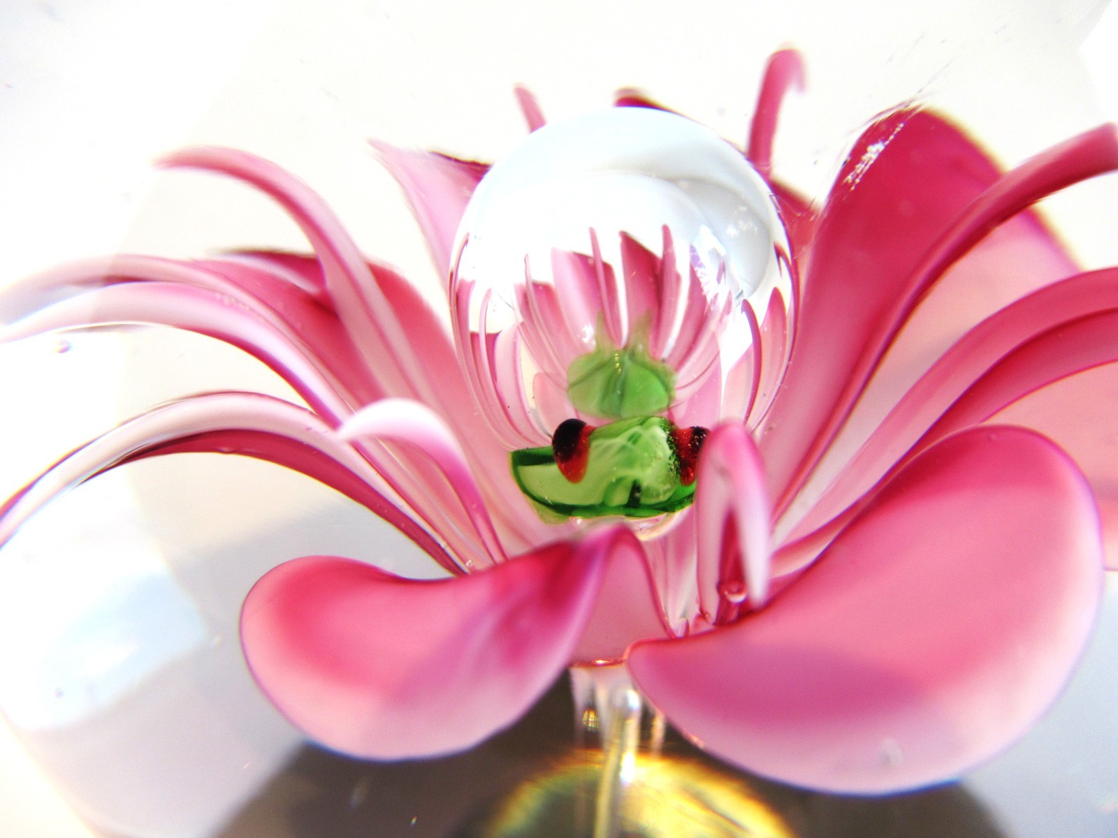 Glass Paperweight Pink Flower Dynasty Gallery Heirloom Collectibles Frog? Snake?
