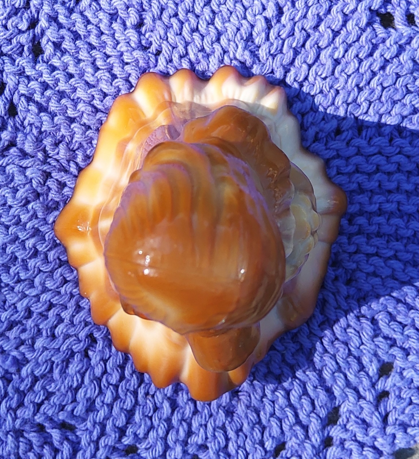 Fenton Bridesmaid Doll, Chocolate, Glossy And Undecorated Caramel