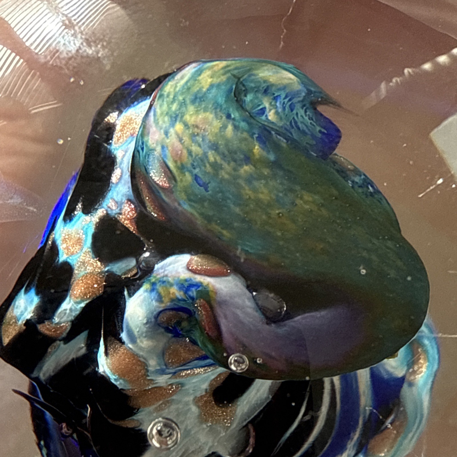 Vintage Signed Diane Lowery 1997 Art Glass Swirl Paperweight 4” Wide