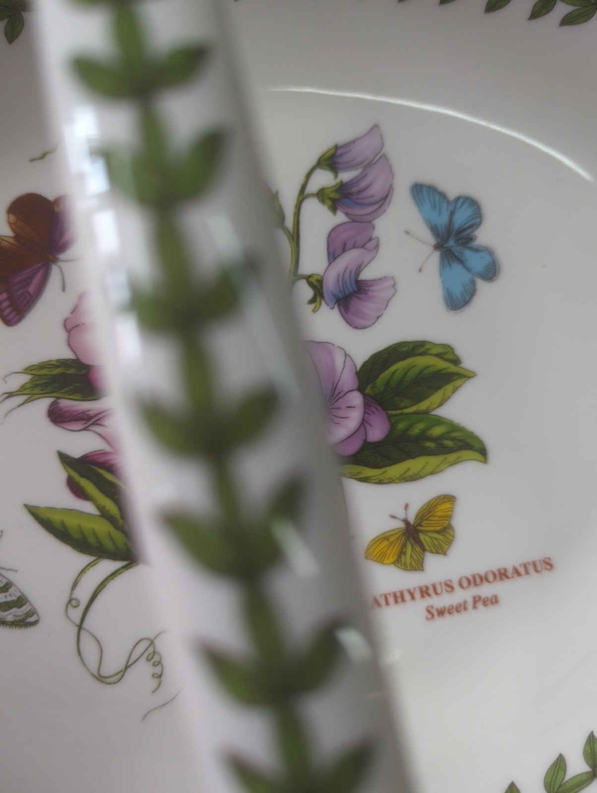 Botanic Garden Portmeirion Sweet Pea Lathyrus Odoratus Oval Bread Basket 13 Inch