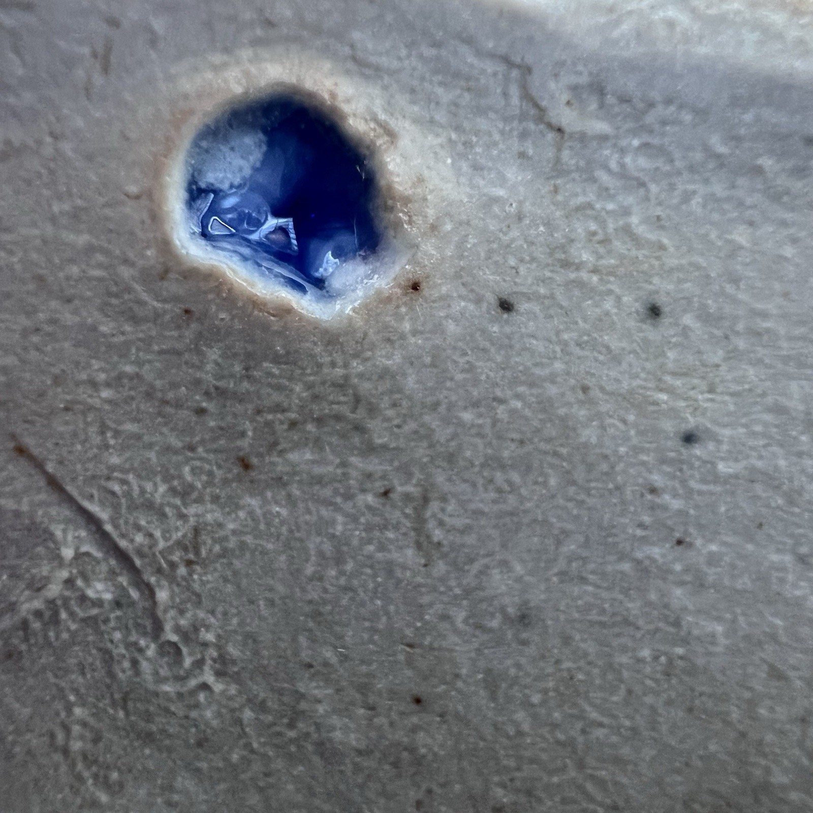 Studio Art Pottery Wall Pocket 7 3/4 x 3 3/4 inches Blue Creamy-white