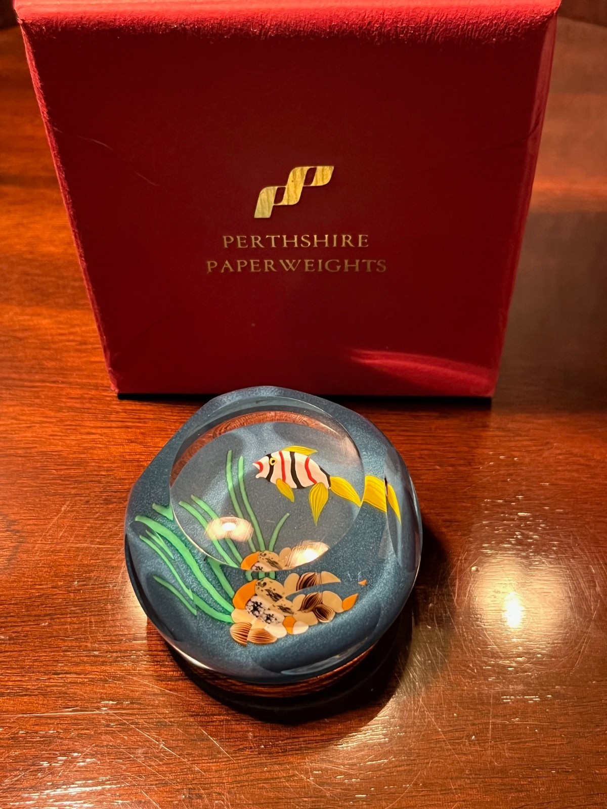 1999 Perthshire Glass Paperweight Scotland 1999B Aquarium fish/reeds in box
