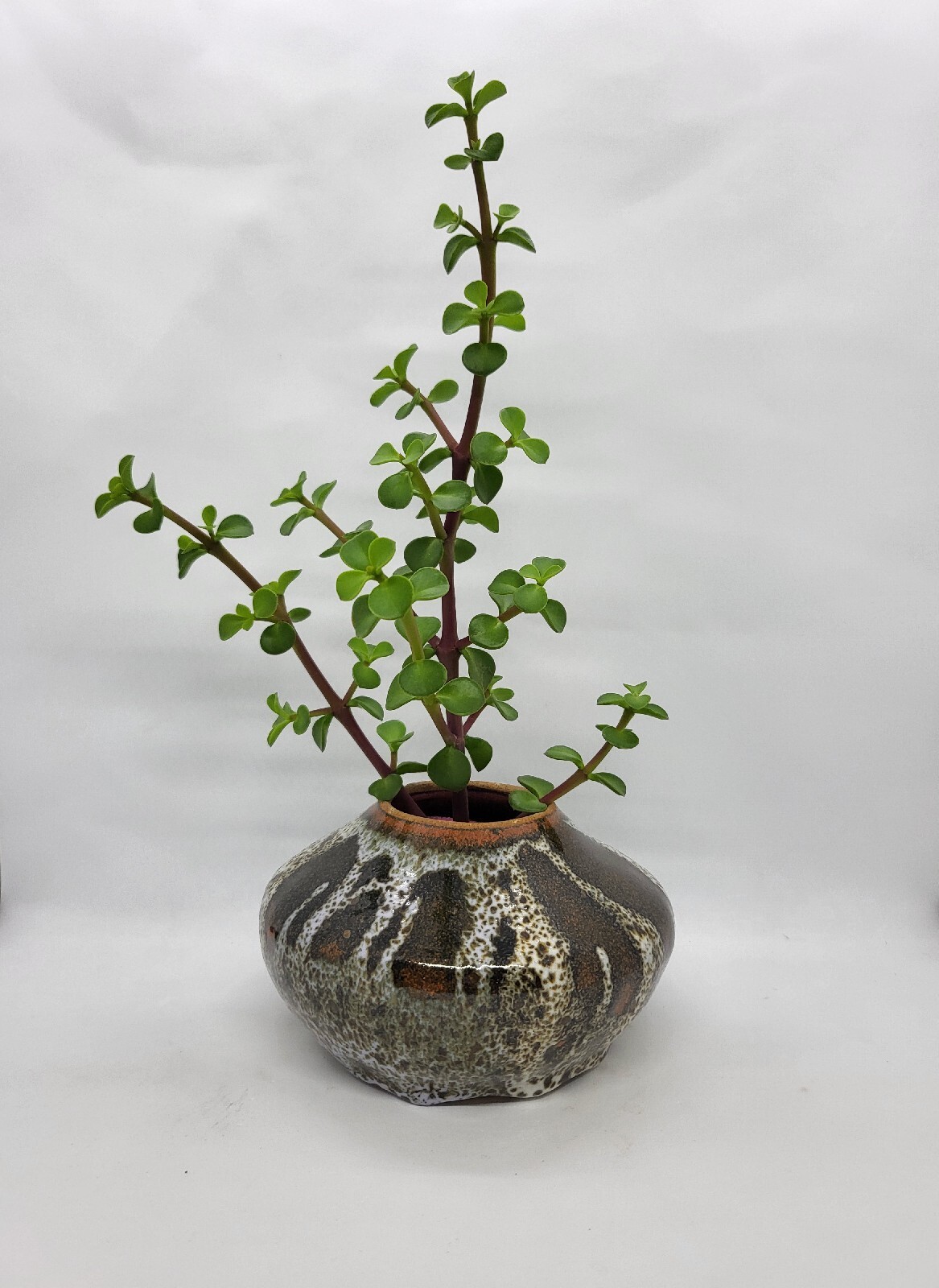 Studio Art Pottery Rotund Drop Drip Glaze Vase Earthtones 3″ Tall.