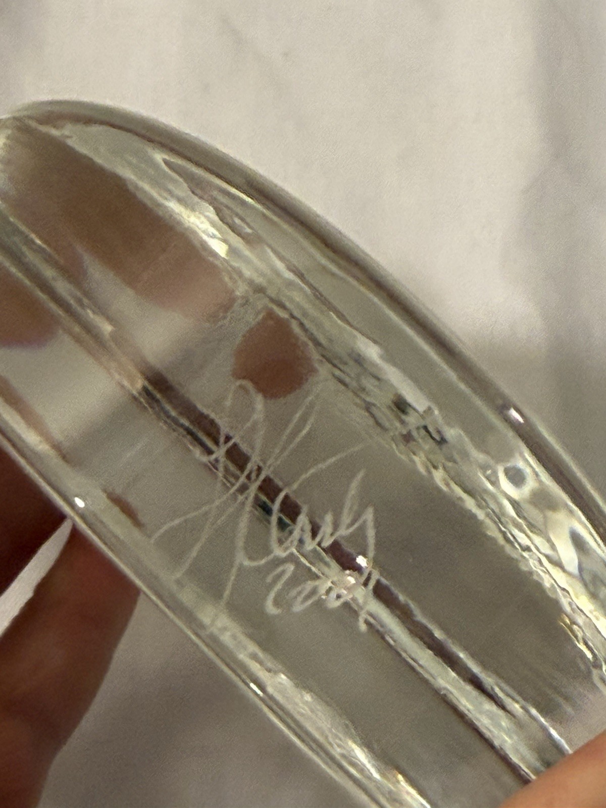 Vintage 2001 Lucas Century Signed Art Glass Paperweight – Etched Herons EUC