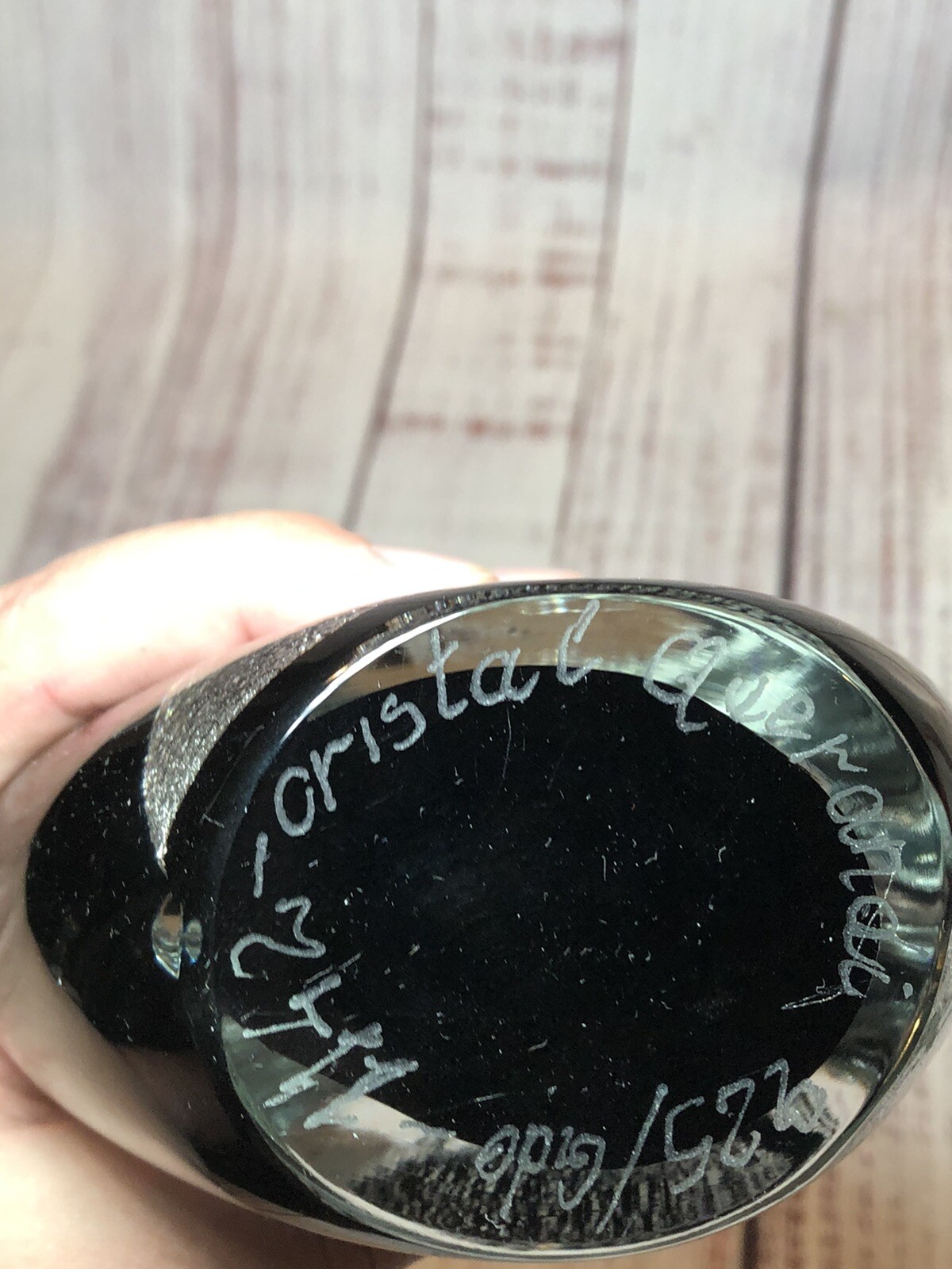Signed Querandi Decorative Art Glass 1142 Paperweight In 925 Silver 5.5” 2.5 Lbs