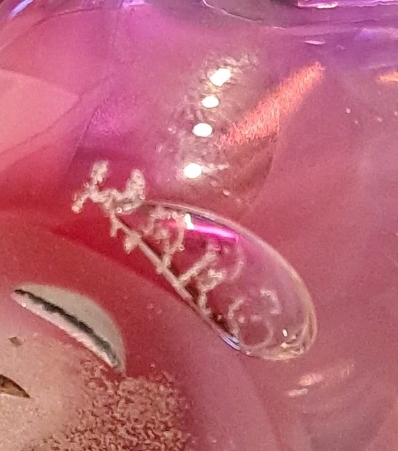 Pink Purple Clear Art Glass Paperweight Nautilus Shell Swirl 3 1/4” Signed
